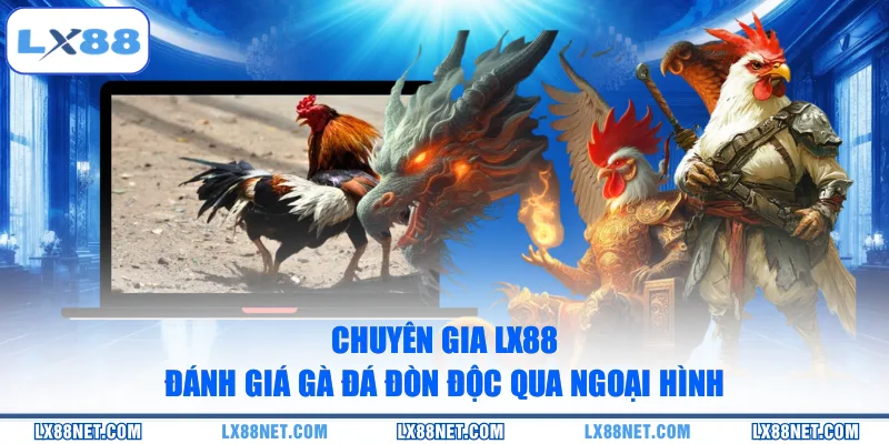 chuyen-gia-lx88-danh-gia-ga-da-don-doc-qua-ngoai-hinh