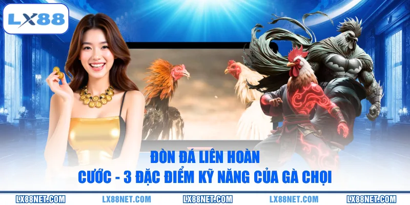 don-da-lien-hoan-cuoc-3-dac-diem-ky-nang-cua-ga-choi