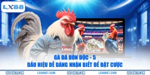 ga-da-don-doc-5-dau-hieu-de-dang-nhan-biet-de-dat-cuoc