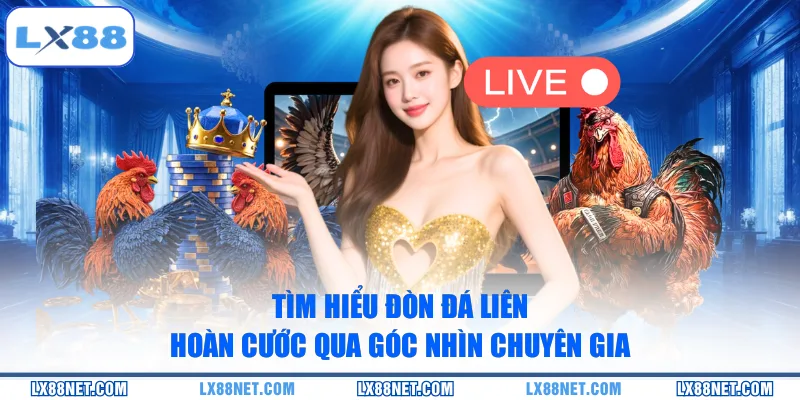 tim-hieu-don-da-lien-hoan-cuoc-qua-goc-nhin-chuyen-gia