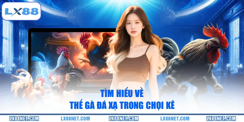 tim-hieu-ve-the-ga-da-xa-trong-choi-ke