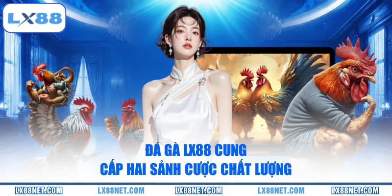 Đá gà LX88 cung cấp hai sảnh cược chất lượng